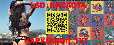 кокс Можга