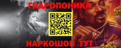 кокс Можга
