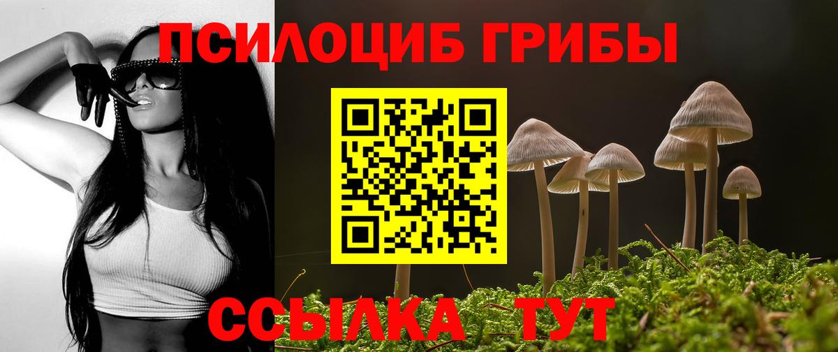 Псилоцибиновые грибы GOLDEN TEACHER Строитель