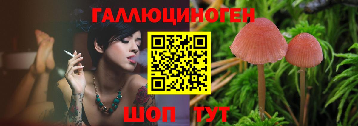 Галлюциногенные грибы MAGIC MUSHROOMS  Вход с VPN  сколько стоит  Строитель 